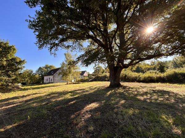 Maison à vendre à Chaillac (36310) - Indre