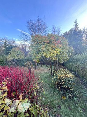 Nouveauté.
Notre Service Immobilier vous propose cette maison située à Wimille (à 2 pas du cen...