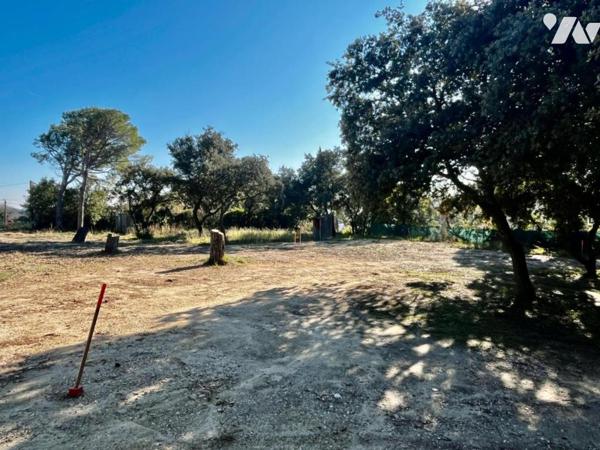 TERRAIN A BATIR TAVEL