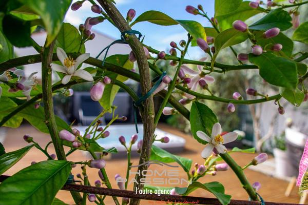 BREUILLET CENTRE - MAISON DE CHARME DE PLAIN PIED ENTIEREMENT RENOVEE