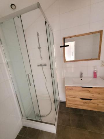 Lille Appartement 1 chambre