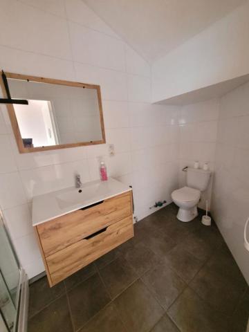 Lille Appartement 1 chambre