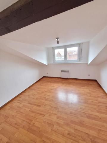 Lille Appartement 1 chambre