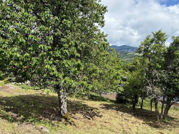 Vente / Terrain constructible