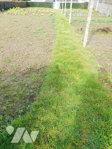 -QUETTEHOU-A DEUX PAS DU BOURG-