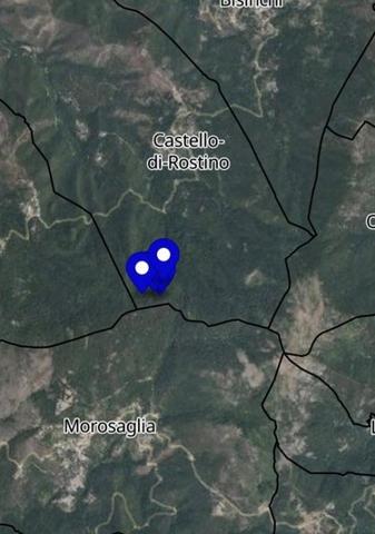 Terrain de loisirs - Bois - Etang à vendre à Castello-di-Rostino en Haute-Corse (20235), ref : 29107-2765