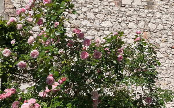 Appartement à vendre    4 pièces • 109,17 m2 Valence