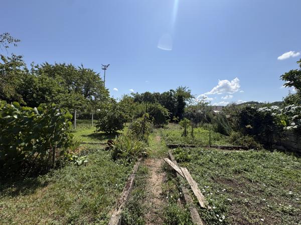 Maison avec jardin