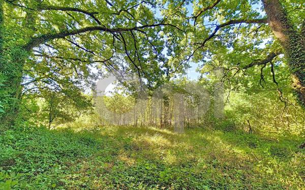 Terrain à vendre    Thenon