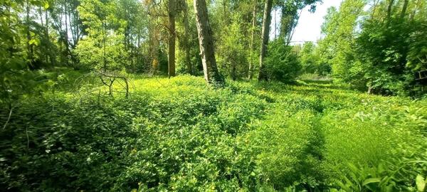 Terrain constructible de 2000m2