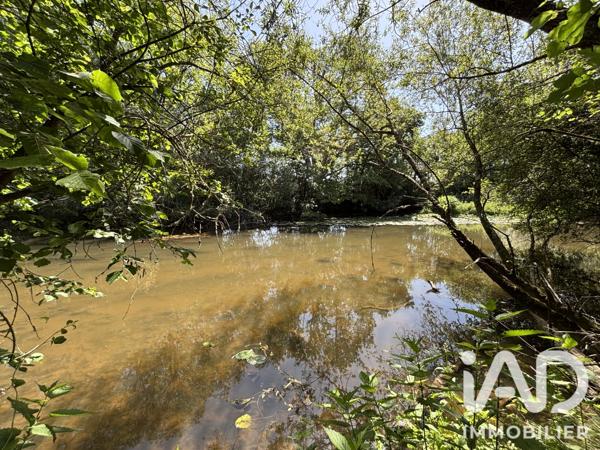 Maison à vendre 6 pièces 122,5 m² Ardentes