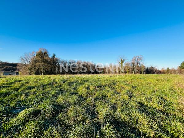 Terrain constructible Seilhac au calme 11456 m2