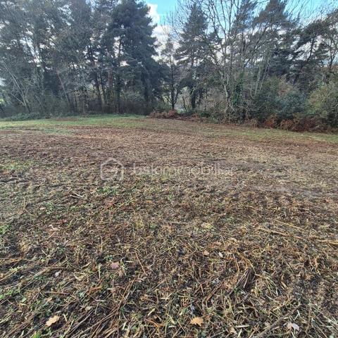 Terrain de 2 910 m²