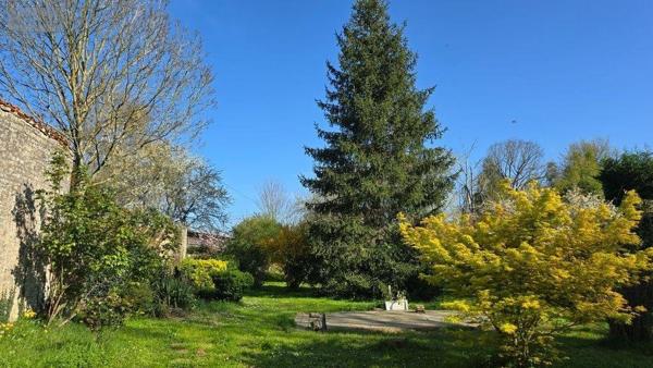 Maison rurale à vendre à Melle dans les Deux-Sèvres (79500), ref : 12434