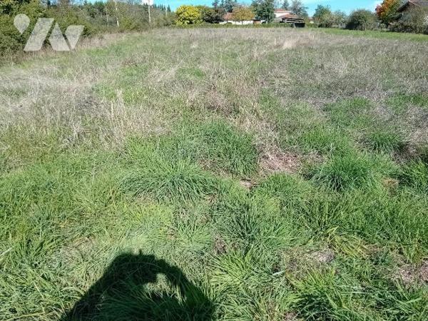 Diverses parcelles de terrains constructibles sur SAINT ETIENNE LE MOLARD