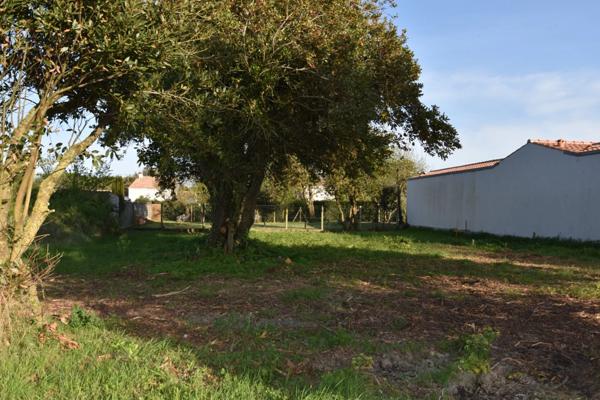 Dpt Charente Maritime (17), Ile d'Oléron, terrain 530 m², Terrain à vendre SAINT DENIS D'OLERON (17)