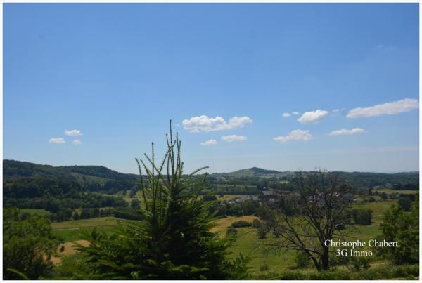 Vente / Chalet