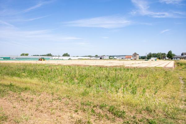Vente / Corps de ferme à Allonnes (49650)