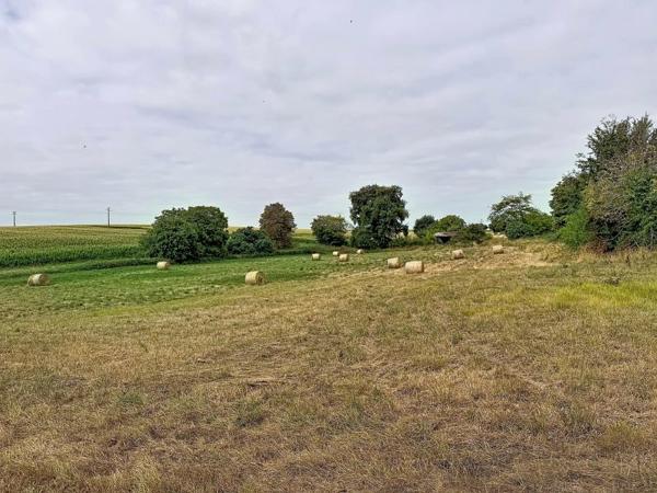 Vente / Maison avec dépendance à Masseube (32140)