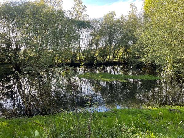 Nieul Le Dolent Terrain de loisirs avec petit étang