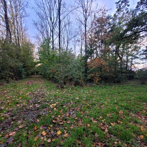 Nieul Le Dolent Terrain de loisirs avec petit étang