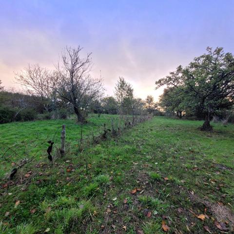 Nieul Le Dolent Terrain de loisirs avec petit étang
