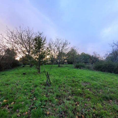 Nieul Le Dolent Terrain de loisirs avec petit étang