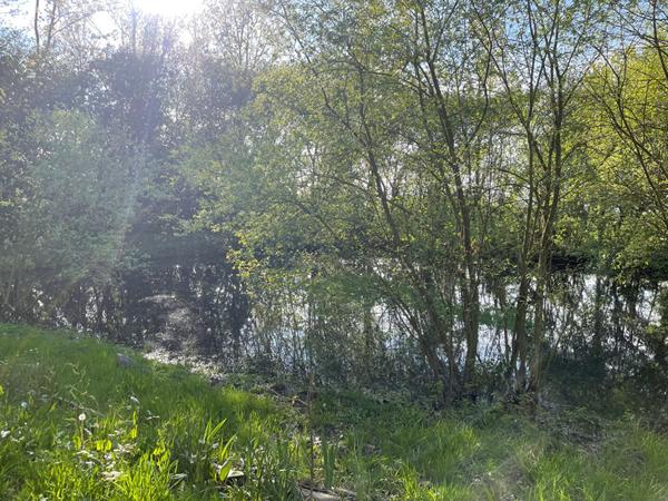 Nieul Le Dolent Terrain de loisirs avec petit étang