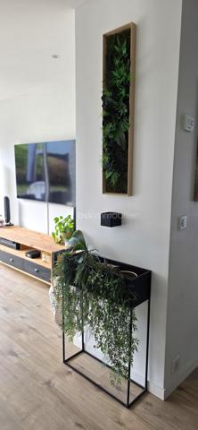 Découvrez cette superbe maison familiale, entièrement rénovée en 2018, offrant près de 195 m² habitables sur une belle parcelle de 715 m², au cœur d'un environnement calme, verdoyant et recherché sur la commune de Chalonnes-sur-Loire.

Dès l'entrée, le charme opère : une vaste pièce de vie baignée de lumière, avec sa cuisine ouverte, crée un espace chaleureux et convivial, idéal pour les moments en famille. Le rez-de-chaussée dispose également d'une chambre, d'un cellier et de WC.

À l'étage, l'espace nuit se compose de 5 chambres, d'une salle de bain et d'une véritable suite parentale avec dressing et salle d'eau privative. Un espace bureau ouvert complète ce niveau et offre de nombreuses possibilités : télétravail, coin lecture ou salle de jeux.

À l'extérieur, profitez d'un jardin intimiste sans vis-à-vis, entouré de verdure, où règnent calme et sérénité. Le privilège de vivre au plus près de la nature tout en restant à quelques minutes seulement des commerces, écoles et commodités.

Les atouts de cette propriété
195 m² habitables
Parcelle de 715 m²
Maison entièrement rénovée en 2018
Studio indépendant de 15 m² avec revenu locatif
Garage de rangement
Chauffage au sol (plancher chauffant)
Aucun travaux à prévoir
Taxe foncière : 1 574 €

Une propriété rare qui réunit volumes, prestations de qualité et potentiel locatif. Un bien idéal pour une famille en quête d'espace et de confort.

Contactez-moi dès maintenant, je me ferai un plaisir de vous faire découvrir ce véritable bien coup de cœur.