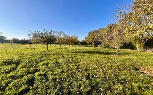 Maison à vendre    5 pièces •  Fleuré