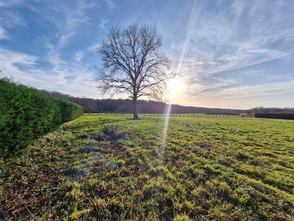 Terrain à bâtir d'environ 1 900 m² placé dans un environnement idéal sur la commune de Cuiseaux
