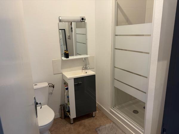 Albi (81000) Immeuble de rapport monopropriété de 253 m2 sur Albi