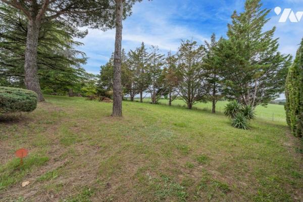 RARE - Beau terrain à bâtir à PIN BALMA