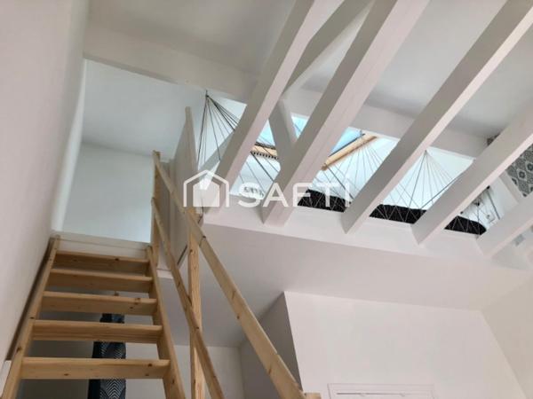 Maison 10 pièces avec jardin : rendement locatif 13%