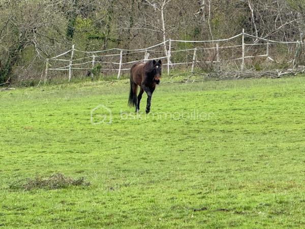 Maison en pierre de 322 m²