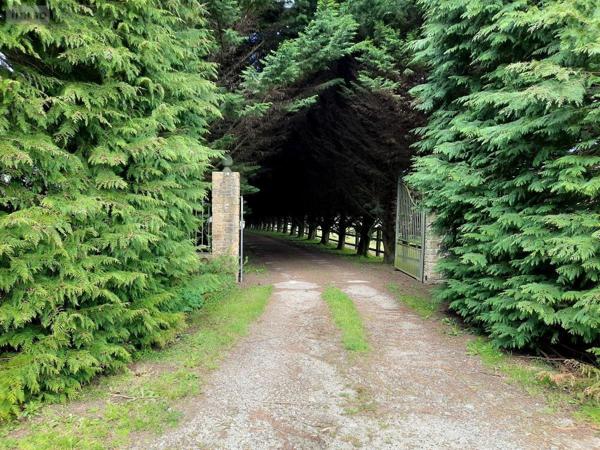 Maison à vendre à Moustoir-Ac dans le Morbihan (56500), ref : 56005-710