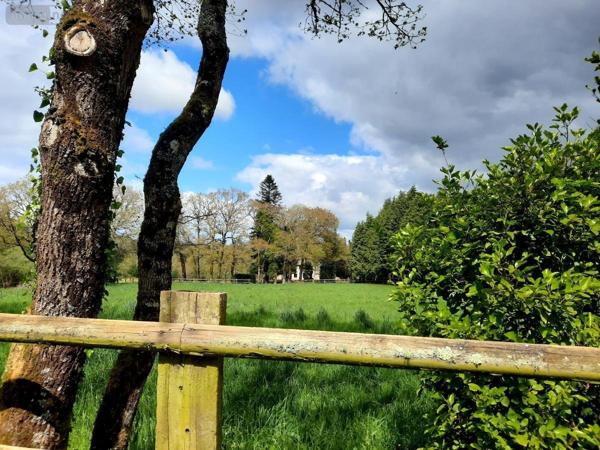 Maison à vendre à Moustoir-Ac dans le Morbihan (56500), ref : 56005-710