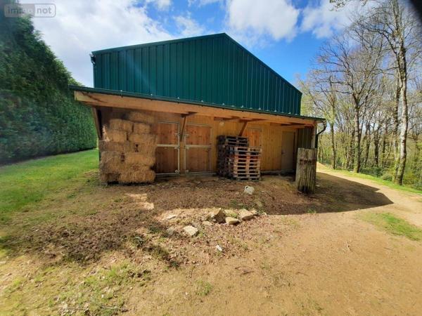 Maison à vendre à Moustoir-Ac dans le Morbihan (56500), ref : 56005-710