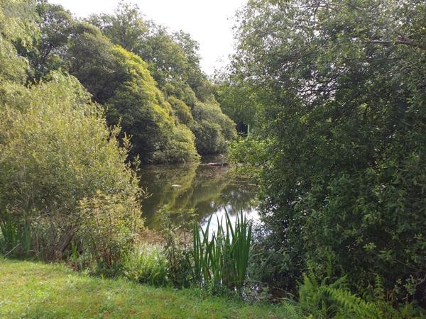 Maison à vendre à Moustoir-Ac dans le Morbihan (56500), ref : 56005-710