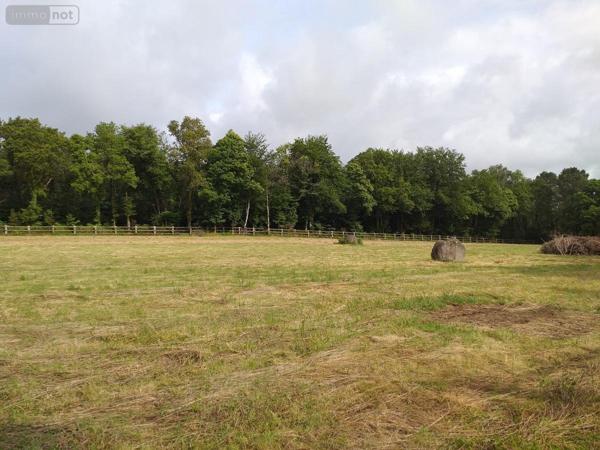 Maison à vendre à Moustoir-Ac dans le Morbihan (56500), ref : 56005-710