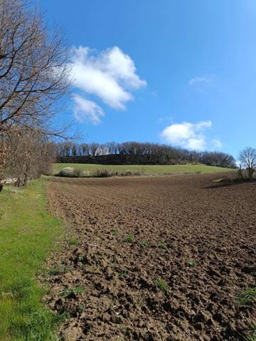 Terrain agricole sur 6 hectares, bois, sources, compteur électrique et eau, clos, abri animaux, chevaux....