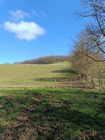 Terrain agricole sur 6 hectares, bois, sources, compteur électrique et eau, clos, abri animaux, chevaux....