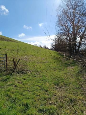 Terrain agricole sur 6 hectares, bois, sources, compteur électrique et eau, clos, abri animaux, chevaux....