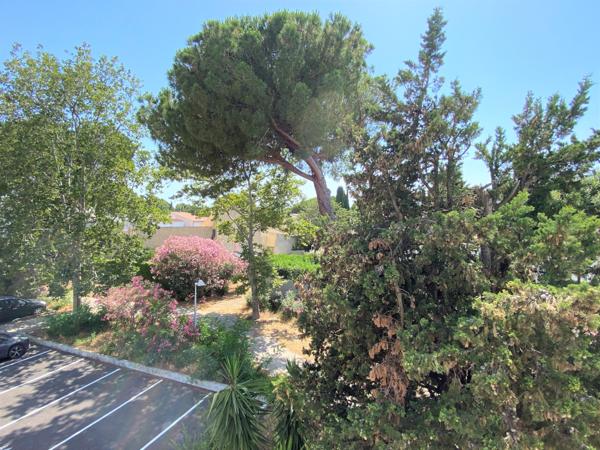 Ponant - P2 - 29,51m2