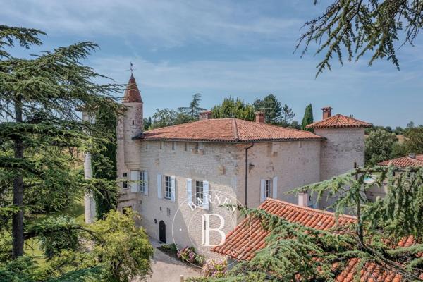 Albi, Château 7 Chambres -  380 m² à vendre