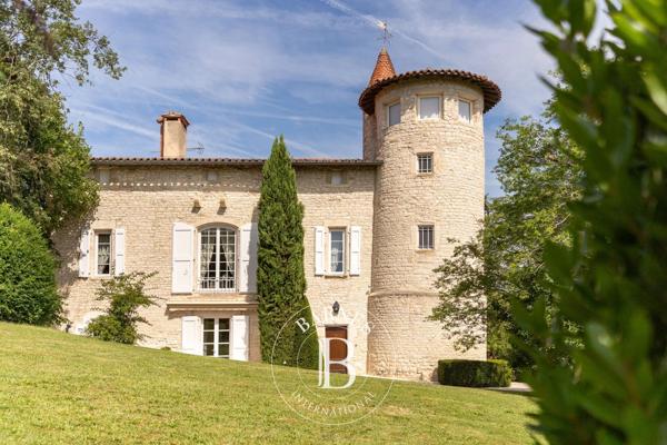Albi, Château 7 Chambres -  380 m² à vendre