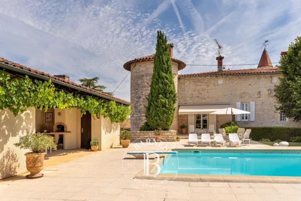 Albi, Château 7 Chambres -  380 m² à vendre