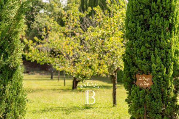 Albi, Château 7 Chambres -  380 m² à vendre