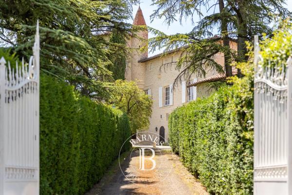 Albi, Château 7 Chambres -  380 m² à vendre