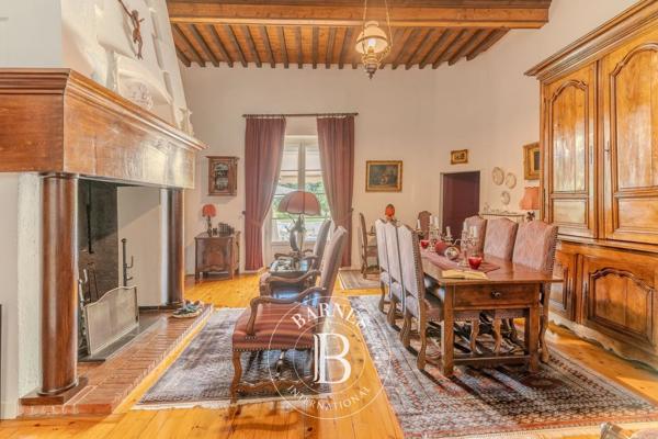 Albi, Château 7 Chambres -  380 m² à vendre